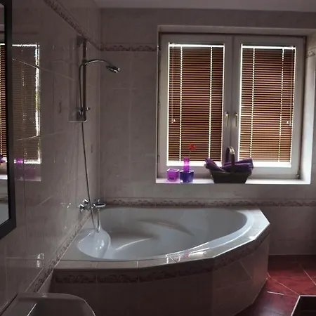 Guest house Anton House 3*
